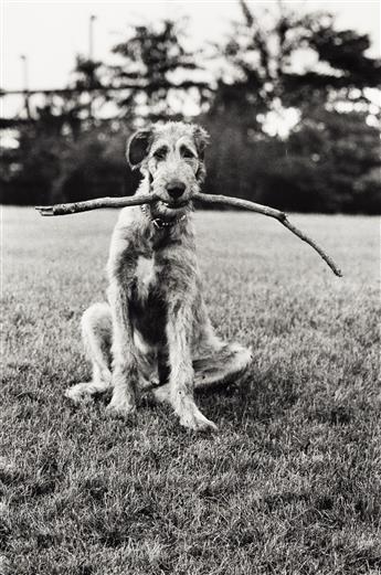 ELLIOTT ERWITT (1928-2023) Portfolio titled Elliott Erwitt, The Alchan Edition.